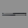 Renault Modus 2004/2013 2x Rear Gas Struts